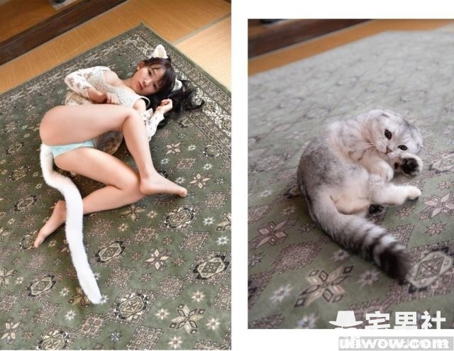 《如果猫咪化身为萌妹子》如此波涛胸涌让人不得不怒买一本！-集忧台