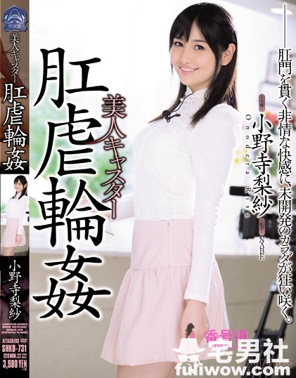 小野寺梨紗(おのでらりさ)作品全集及番号封面一览 - 第15张