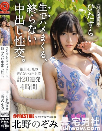 北野望(北野のぞみ)作品封面全集及番号大全 - 第2张