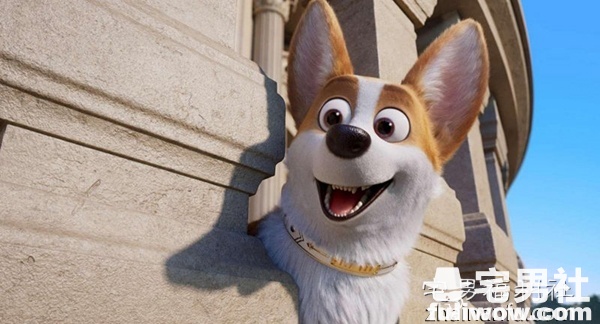 《女王的柯基》:团结则存！ - 第2张