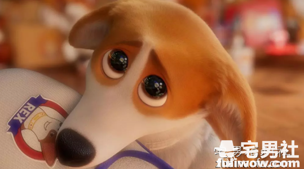 《女王的柯基》:团结则存！ - 第8张