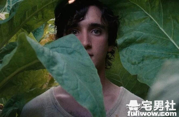 金马奇幻《幸福的拉扎洛》：天使就在人间。 - 第2张