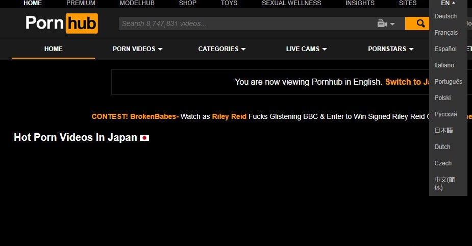 另类的P站是什么？它觉得自己是最懂互联网的科技公司