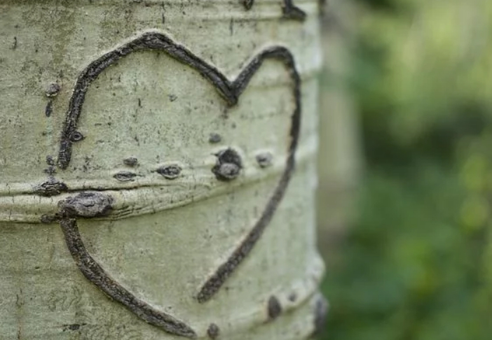 出轨，是会上瘾的-集忧台