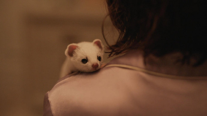 高分美剧《黑暗物质三部曲》第一季完结 全集已整理-集忧台