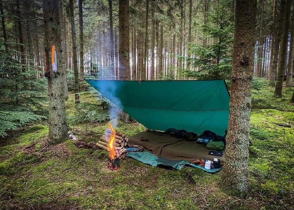 小小玉酱、甜菜玉是什么梗？-集忧台