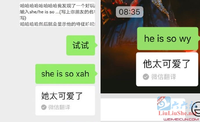 微信新玩法“输入she is so”火了-集忧台