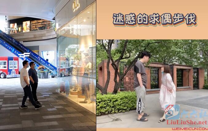 “迷惑的求偶步伐”什么梗？“迷惑的求偶步伐”原视频出处？-集忧台