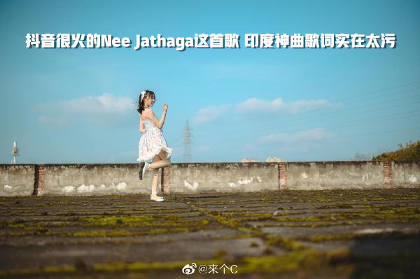 (Nee Jathaga)抖音很火的歌 你知道歌词到底有多污吗？-集忧台