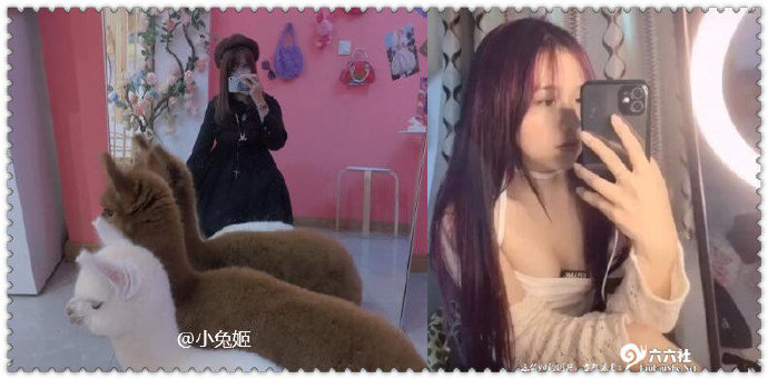 图片[2]-“抖音小兔姬”百度云录屏事件-集忧台