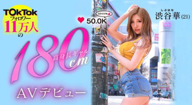 网红辣妹(渋谷华)作品及个人资料介绍-集忧台