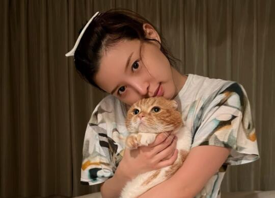 葵司(葵つかさ)的推特twitter账号是多少？-集忧台