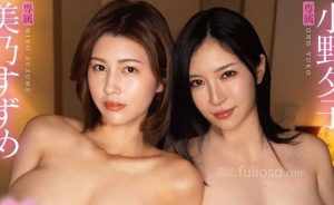 小野夕子(葵)和美乃雀共演作品(dldss-289)封面和介绍-集忧台