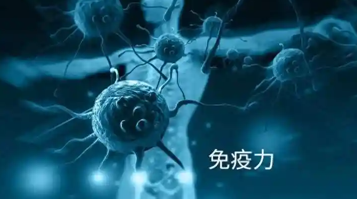 图片[2]-冬天容易感冒，有什么习惯可以提高免疫力-集忧台