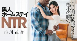 市川花音(Ichikawa-Kanon)作品DASD-690封面及内容剧情预览-集忧台