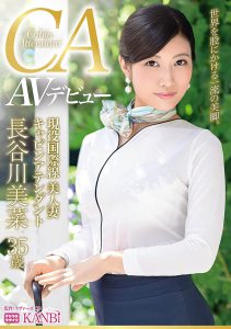 长谷川美菜 作品DTT-044封面及内容剧情预览-集忧台