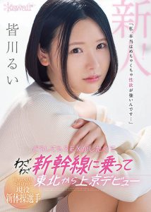 皆川るい(皆川留衣，Minagawa-Rui)作品CAWD-184封面及内容剧情预览-集忧台