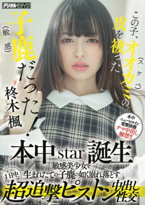 柊木枫(Hiiragi-Kaede)作品HMN-049封面及内容剧情预览-集忧台