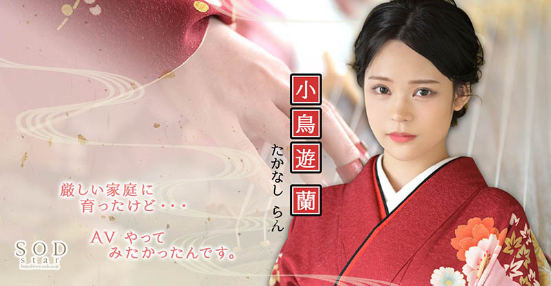 小鸟游兰(Takanashi-Ran)作品STARS-600封面及内容剧情预览-集忧台