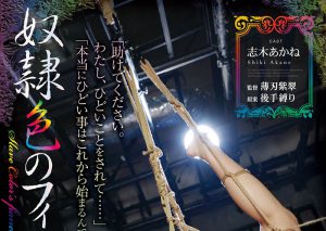 志木あかね(志木茜,Shiki-Akane)作品RBK-035封面及内容剧情预览-集忧台