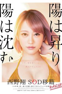 西野翔作品STARS-113封面及内容剧情预览-集忧台