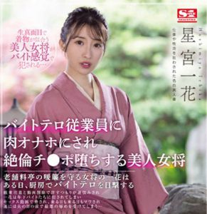 星宫一花(Hoshimiya-Ichika)作品SSIS-528封面及内容剧情预览-集忧台