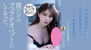 岬ななみ(岬奈奈美,Misaki-Nanami)作品ATID-521封面及内容剧情预览-集忧台