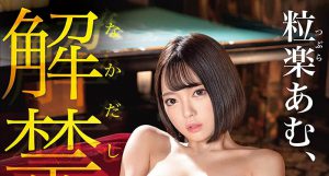 粒楽あむ(粒乐亚梦)最新作品ABW-344封面及内容剧情预览-集忧台