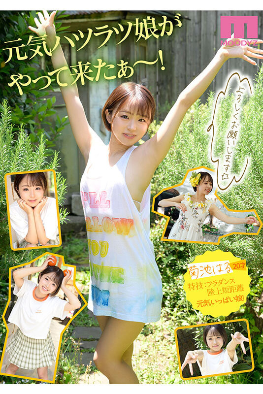 图片[3]-菊池はる(菊池春)出道作品MIDV-541封面及内容剧情预览-集忧台