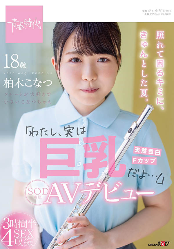 图片[5]-纯爱系《柏木小夏》经典作品推荐封面及内容剧情预览-集忧台