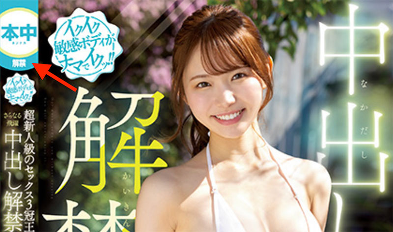 图片[6]-响莲(Hibiki-Ren)最新作品HMN-455封面及内容剧情预览-集忧台