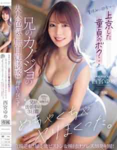 西宫ゆめ(西宫梦)最新作品IPZZ-289绍及预览-集忧台