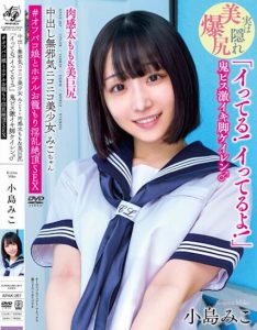 小岛みこ(小岛美子)作品APAK-267封面及内容剧情预览-集忧台