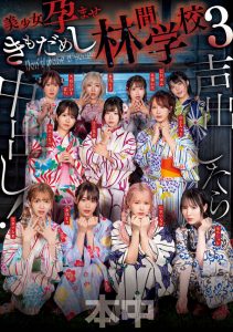 「超级鬼屋惊魂」共演作品HNDS-182封面及内容剧情预览-集忧台