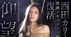 西田カリナ(西田卡莉娜)最新作品JBD-305封面及内容剧情预览-集忧台